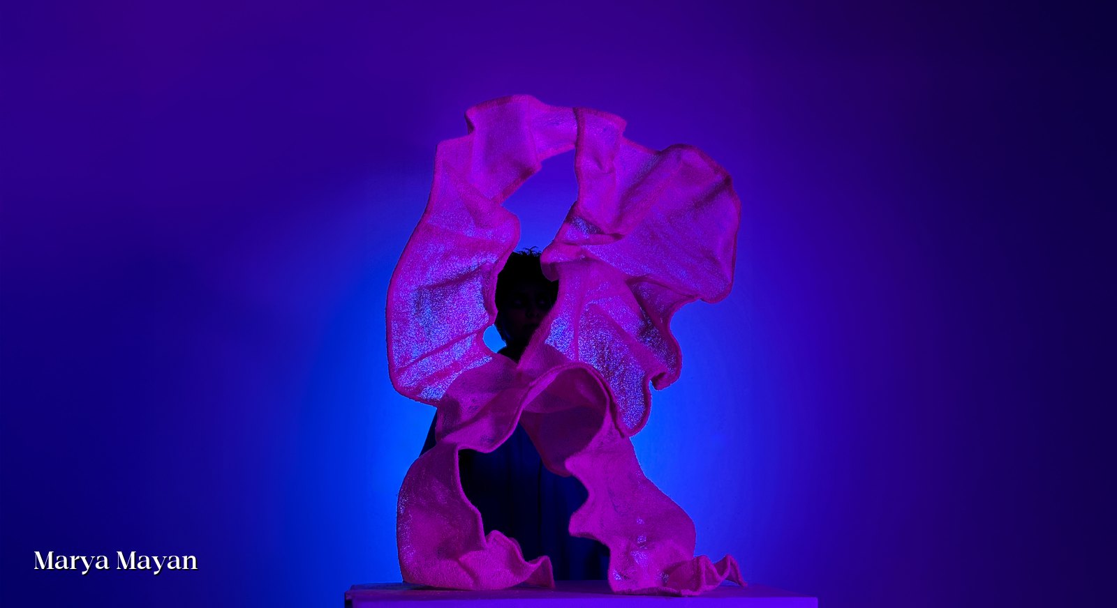 Fragile sculpture lit so light passes through its fibrous shell