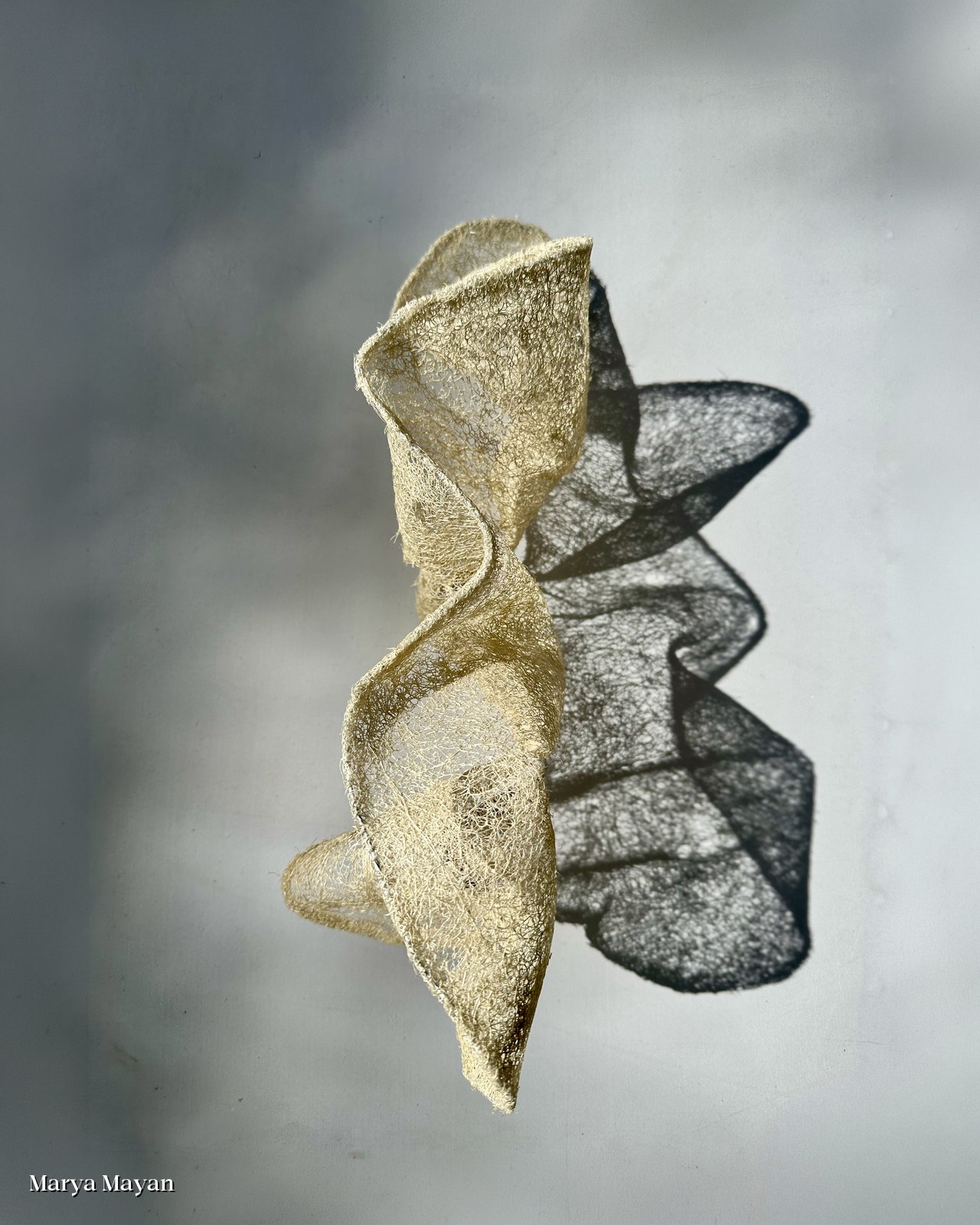 A loofah sculpture casting a lace-like shadow