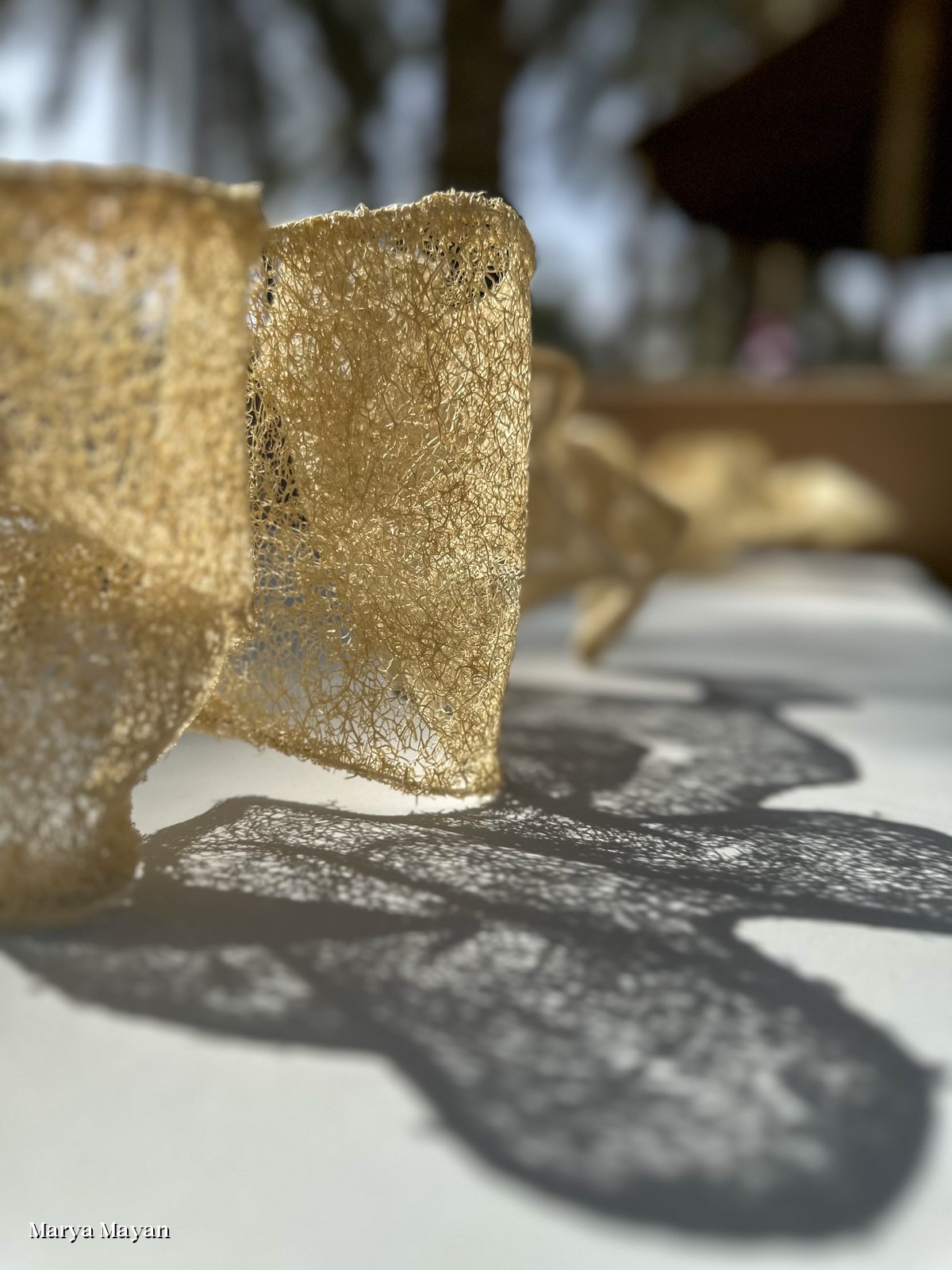 Close detail of the loofah fiber and its shadow