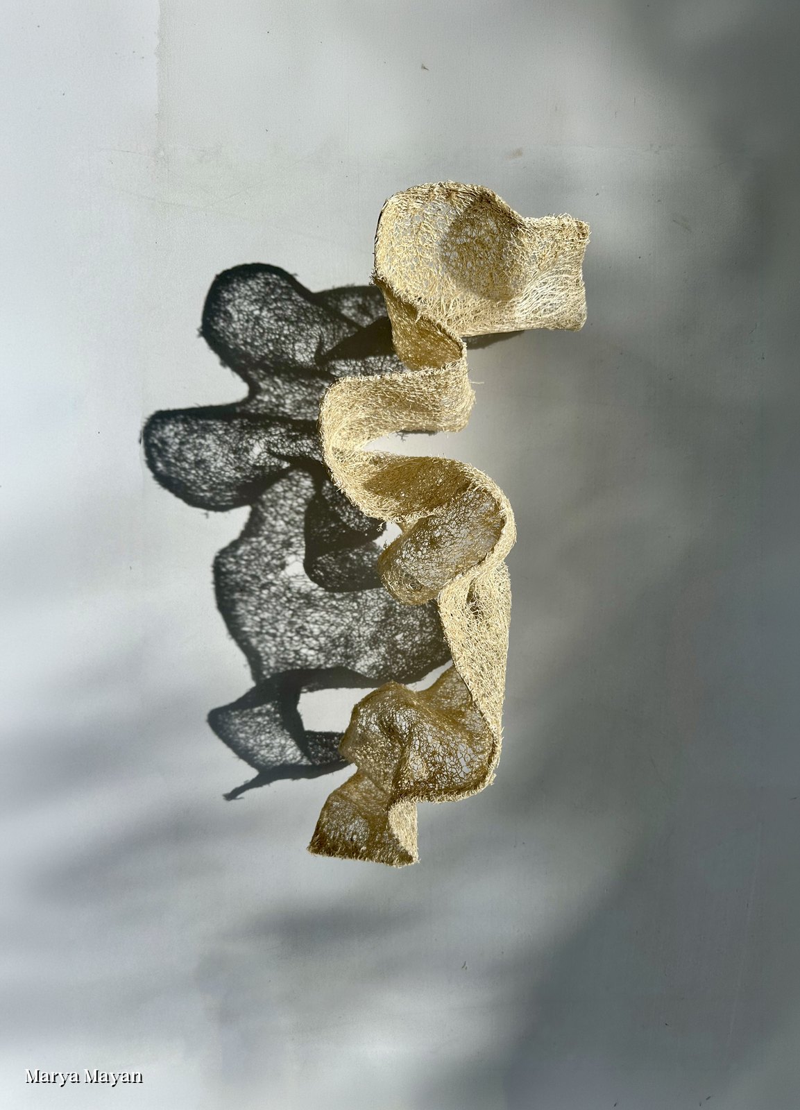 A loofah sculpture and its transparent shadow