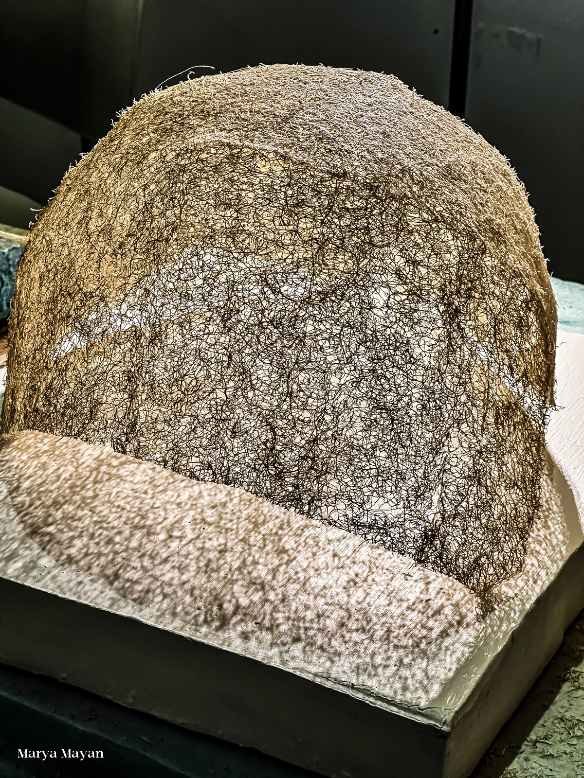 The natural loofah material, close up