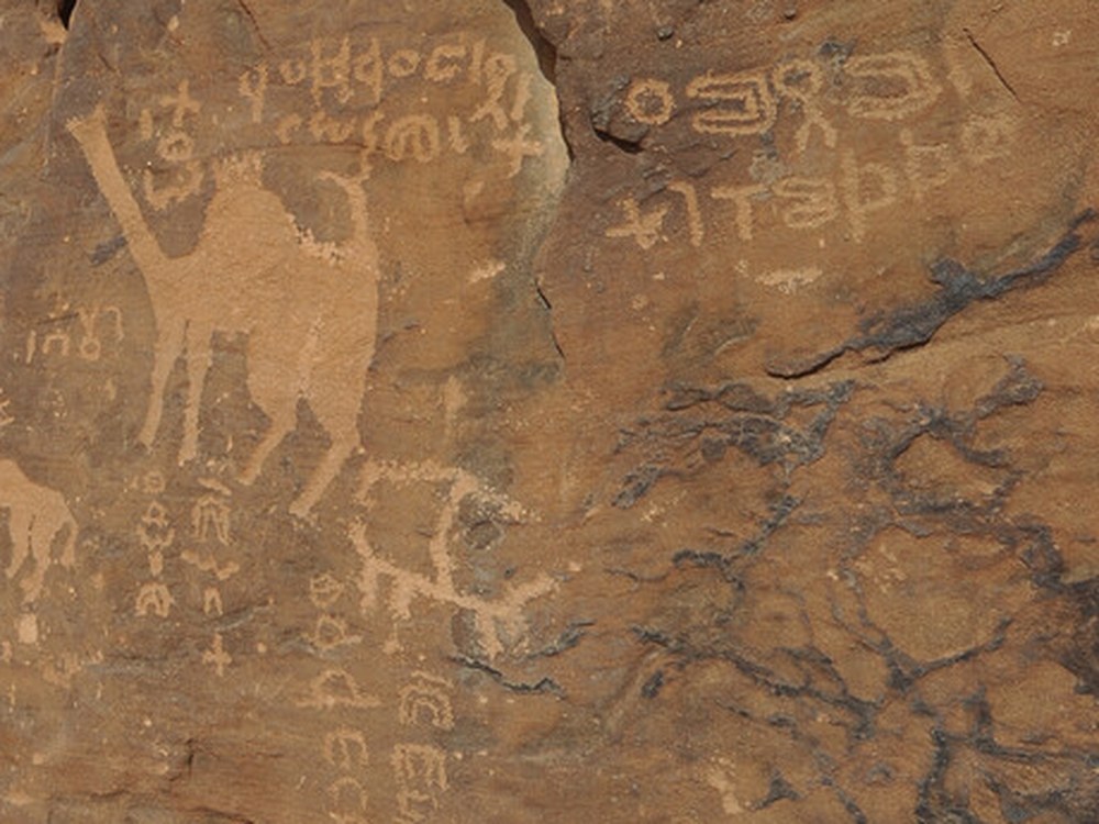 A rock panel where a camel drawing sits beside Thamudic writing on one surface